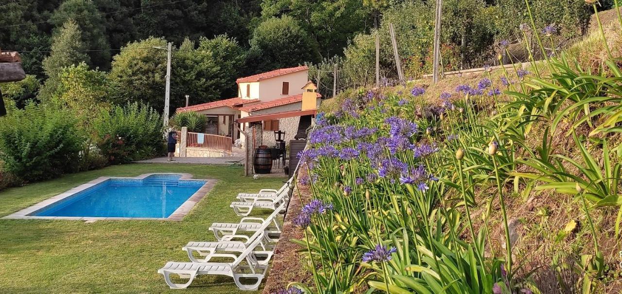 Casa Do Ribeiro Villa Sever do Vouga Exterior photo