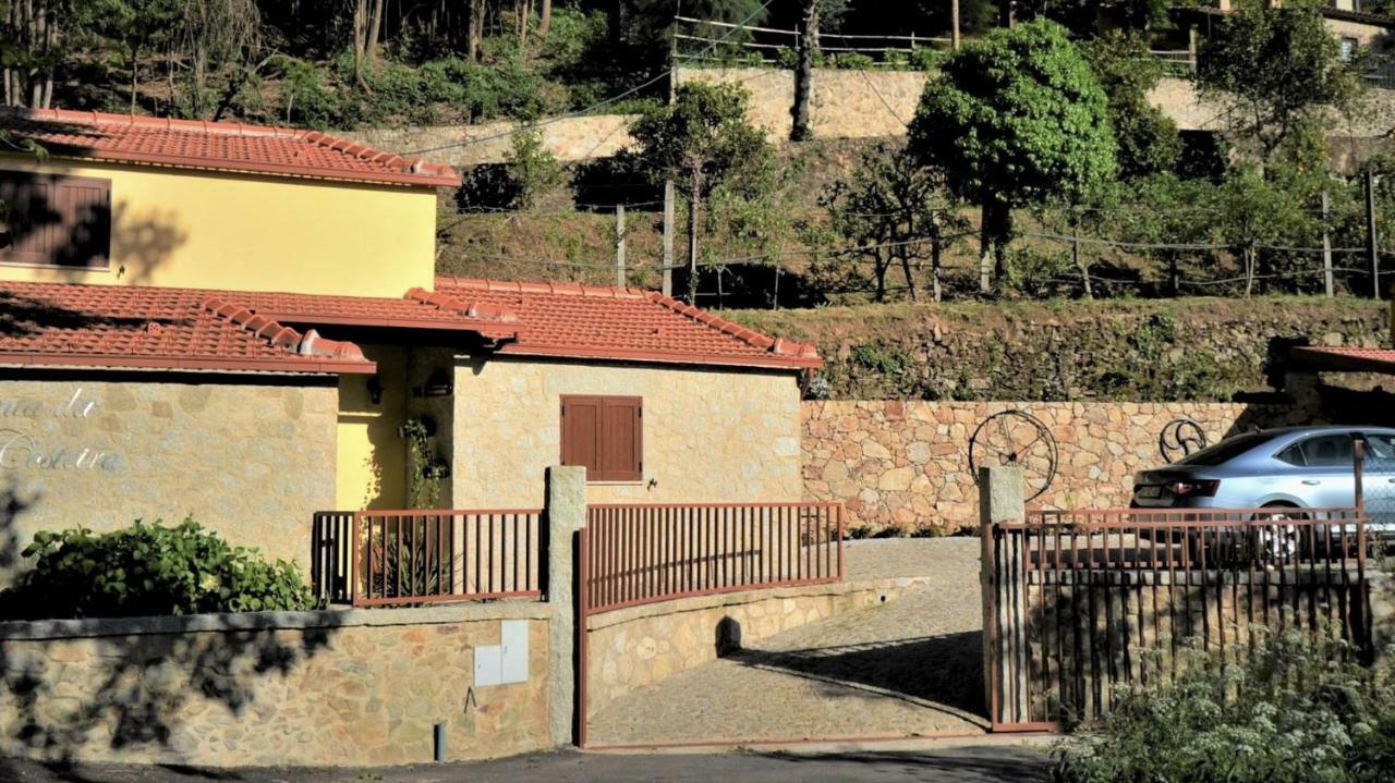 Casa Do Ribeiro Villa Sever do Vouga Exterior photo