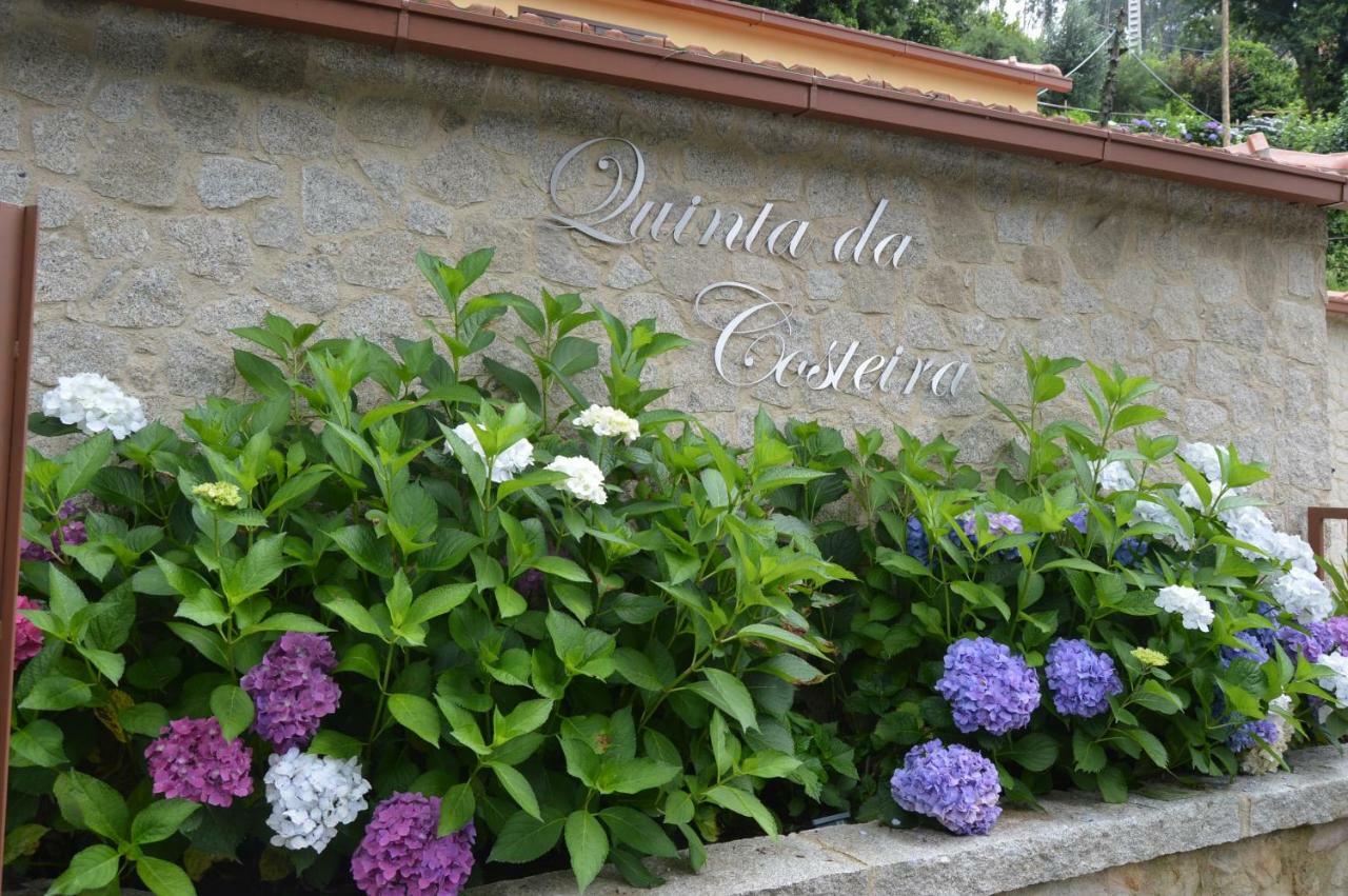 Casa Do Ribeiro Villa Sever do Vouga Exterior photo